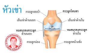 ปวดเข่า