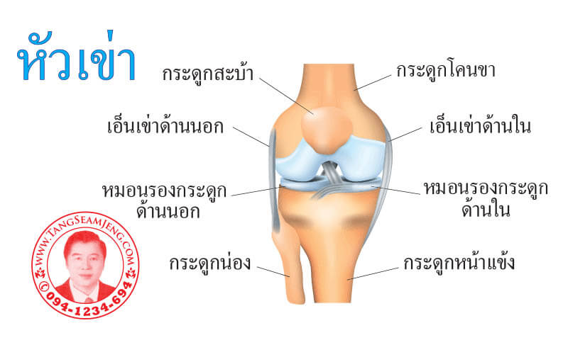 ปวดเข่า